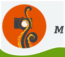 Screen shot of multimedia beast